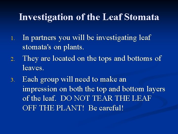 Investigation of the Leaf Stomata 1. 2. 3. In partners you will be investigating