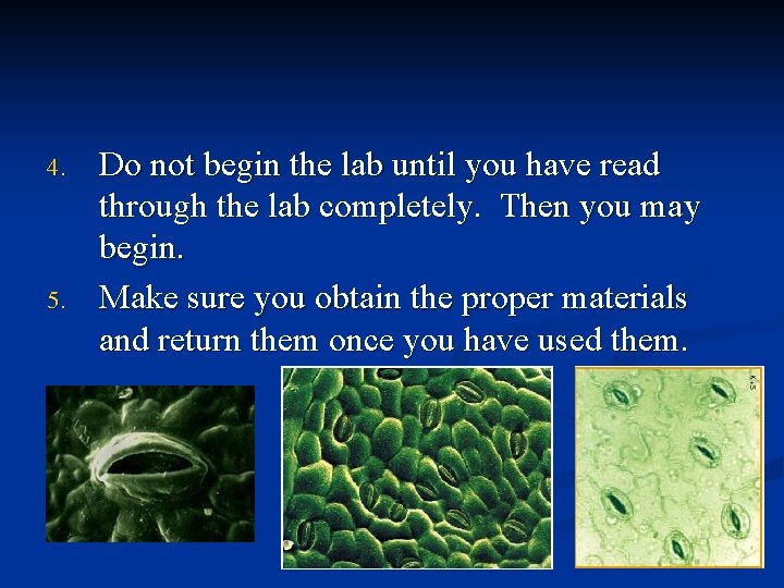 4. 5. Do not begin the lab until you have read through the lab