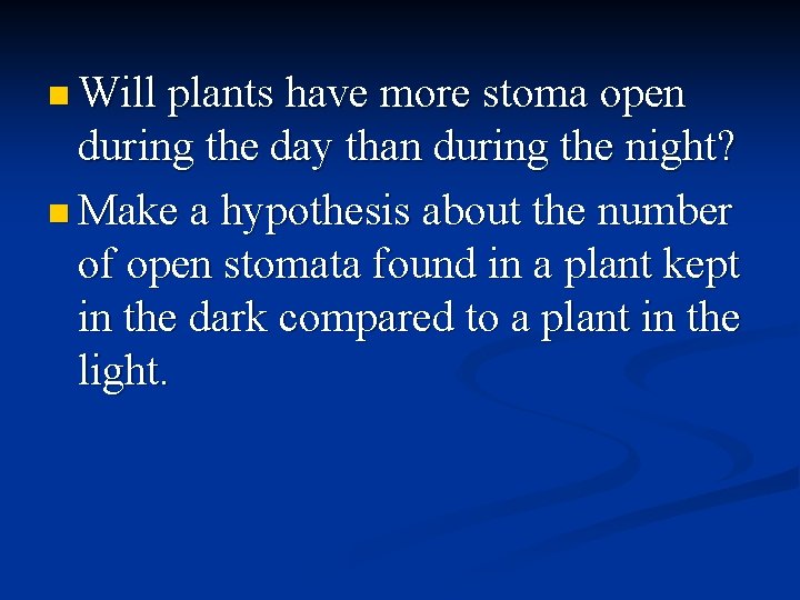 n Will plants have more stoma open during the day than during the night?