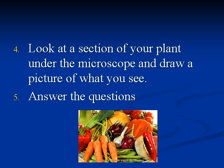 4. 5. Look at a section of your plant under the microscope and draw