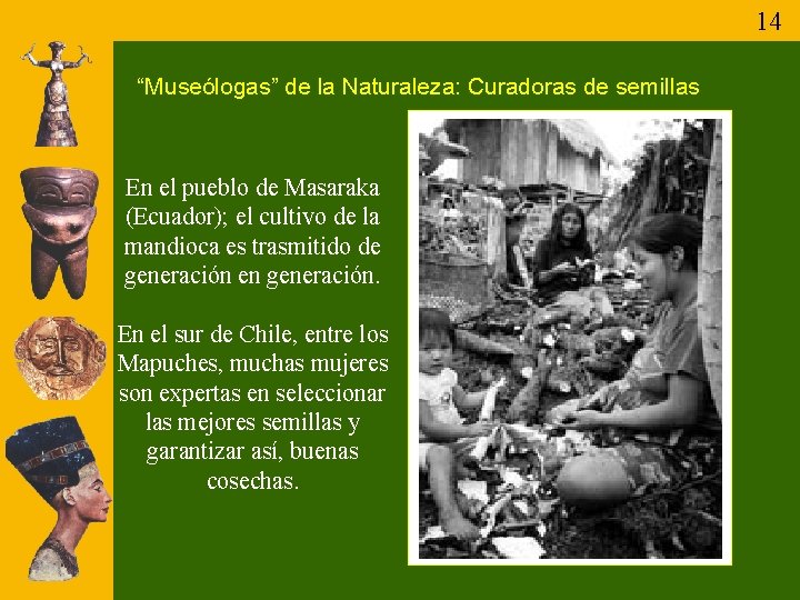 14 “Museólogas” de la Naturaleza: Curadoras de semillas En el pueblo de Masaraka (Ecuador);