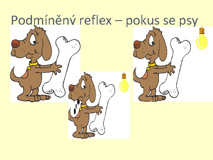 Podmíněný reflex – pokus se psy 