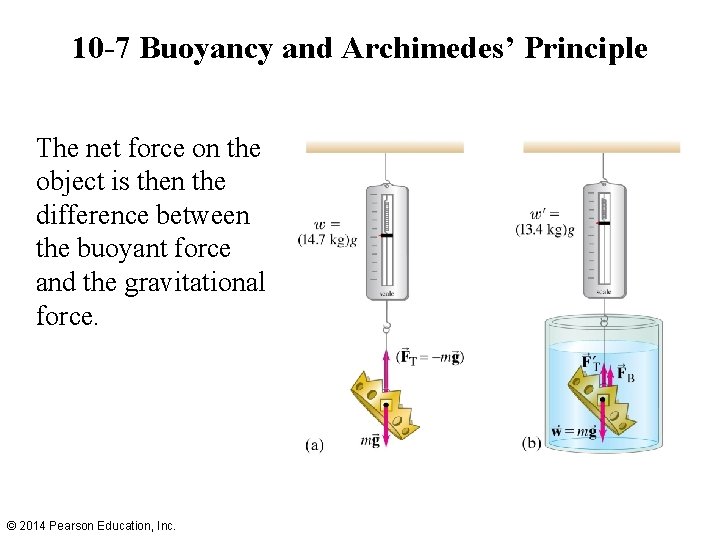 10 -7 Buoyancy and Archimedes’ Principle The net force on the object is then 10 -7 Buoyancy and Archimedes’ Principle The net force on the object is then