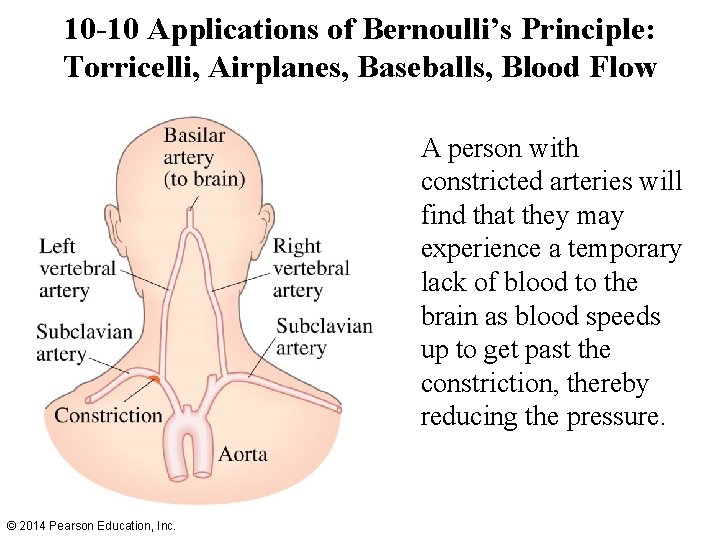 10 -10 Applications of Bernoulli’s Principle: Torricelli, Airplanes, Baseballs, Blood Flow A person with 10 -10 Applications of Bernoulli’s Principle: Torricelli, Airplanes, Baseballs, Blood Flow A person with