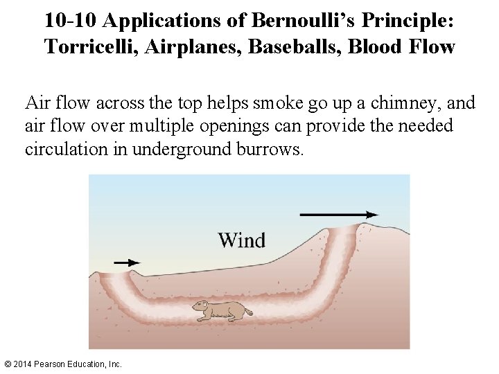 10 -10 Applications of Bernoulli’s Principle: Torricelli, Airplanes, Baseballs, Blood Flow Air flow across 10 -10 Applications of Bernoulli’s Principle: Torricelli, Airplanes, Baseballs, Blood Flow Air flow across