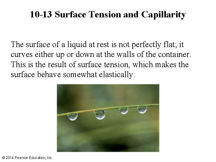 10 -13 Surface Tension and Capillarity The surface of a liquid at rest is 10 -13 Surface Tension and Capillarity The surface of a liquid at rest is