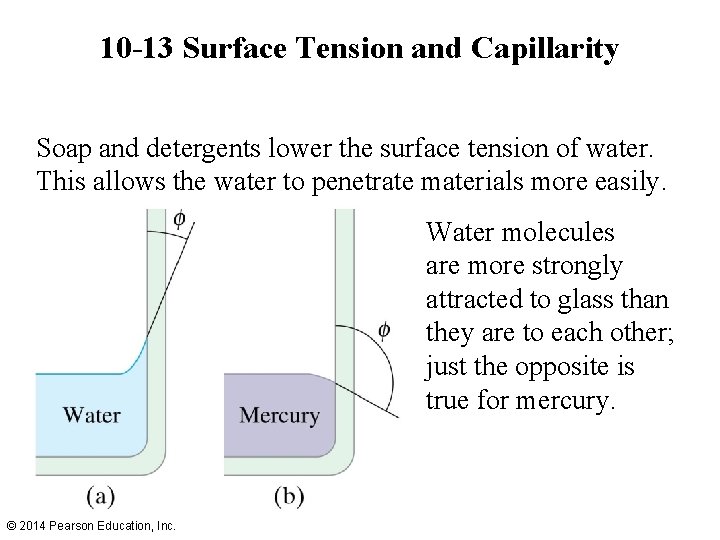 10 -13 Surface Tension and Capillarity Soap and detergents lower the surface tension of 10 -13 Surface Tension and Capillarity Soap and detergents lower the surface tension of