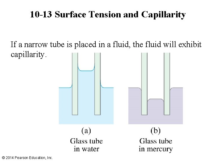 10 -13 Surface Tension and Capillarity If a narrow tube is placed in a 10 -13 Surface Tension and Capillarity If a narrow tube is placed in a