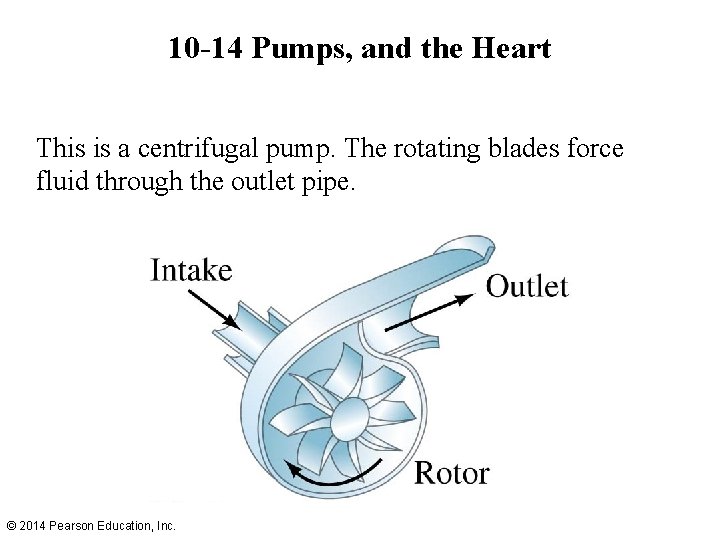 10 -14 Pumps, and the Heart This is a centrifugal pump. The rotating blades 10 -14 Pumps, and the Heart This is a centrifugal pump. The rotating blades