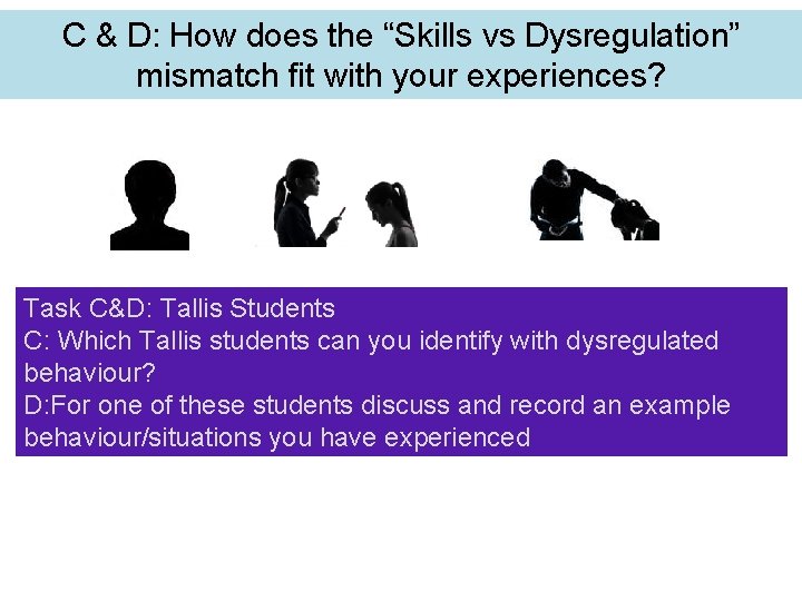 C & D: How does the “Skills vs Dysregulation” mismatch fit with your experiences?