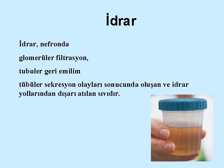 İdrar, nefronda glomerüler filtrasyon, tubuler geri emilim tübüler sekresyon olayları sonucunda oluşan ve idrar