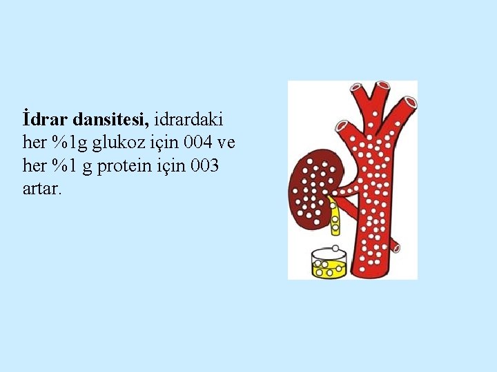 İdrar dansitesi, idrardaki her %1 g glukoz için 004 ve her %1 g protein