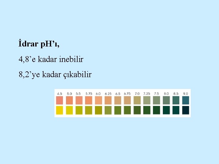 İdrar p. H’ı, 4, 8’e kadar inebilir 8, 2’ye kadar çıkabilir 