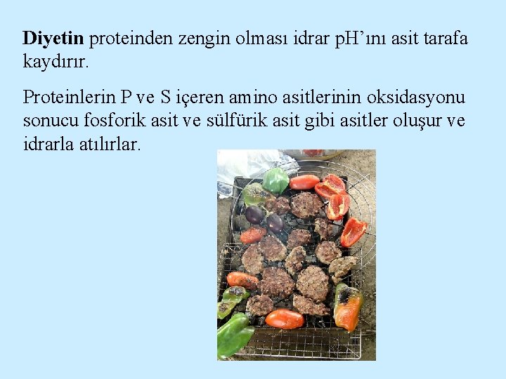 Diyetin proteinden zengin olması idrar p. H’ını asit tarafa kaydırır. Proteinlerin P ve S