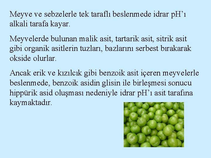 Meyve ve sebzelerle tek taraflı beslenmede idrar p. H’ı alkali tarafa kayar. Meyvelerde bulunan