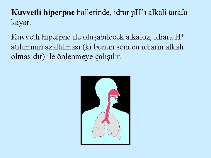 Kuvvetli hiperpne hallerinde, idrar p. H’ı alkali tarafa kayar. Kuvvetli hiperpne ile oluşabilecek alkaloz,
