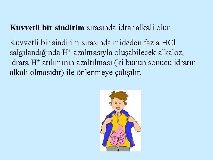 Kuvvetli bir sindirim sırasında idrar alkali olur. Kuvvetli bir sindirim sırasında mideden fazla HCl