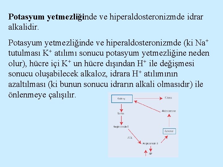 Potasyum yetmezliğinde ve hiperaldosteronizmde idrar alkalidir. Potasyum yetmezliğinde ve hiperaldosteronizmde (ki Na+ tutulması K+