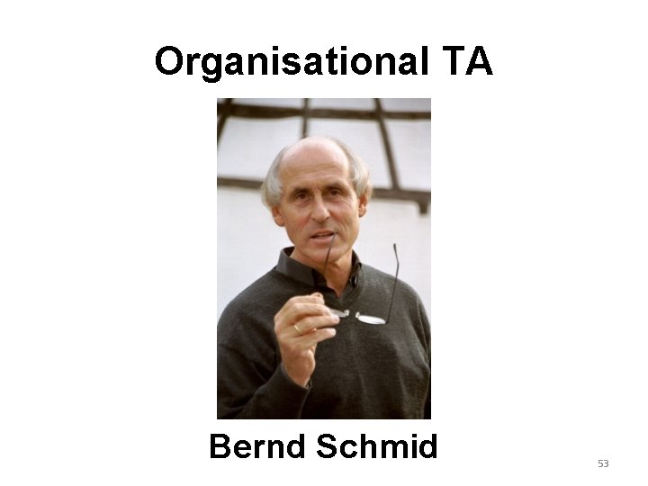 Organisational TA Bernd Schmid 53 