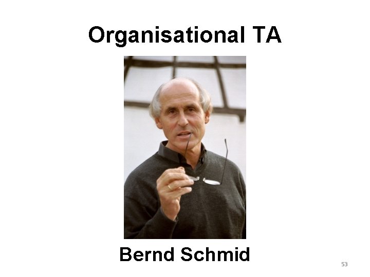 Organisational TA Bernd Schmid 53 Organisational TA Bernd Schmid 53