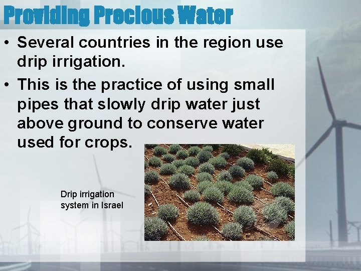 Providing Precious Water • Several countries in the region use drip irrigation. • This