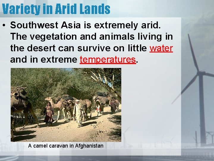 Variety in Arid Lands • Southwest Asia is extremely arid. The vegetation and animals