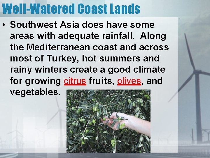 Well-Watered Coast Lands • Southwest Asia does have some areas with adequate rainfall. Along