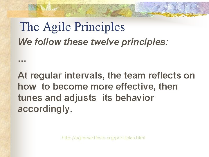 The Agile Principles We follow these twelve principles: … At regular intervals, the team