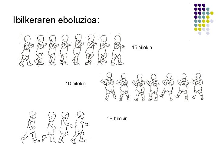 Ibilkeraren eboluzioa: 15 hilekin 16 hilekin 28 hilekin Ibilkeraren eboluzioa: 15 hilekin 16 hilekin 28 hilekin