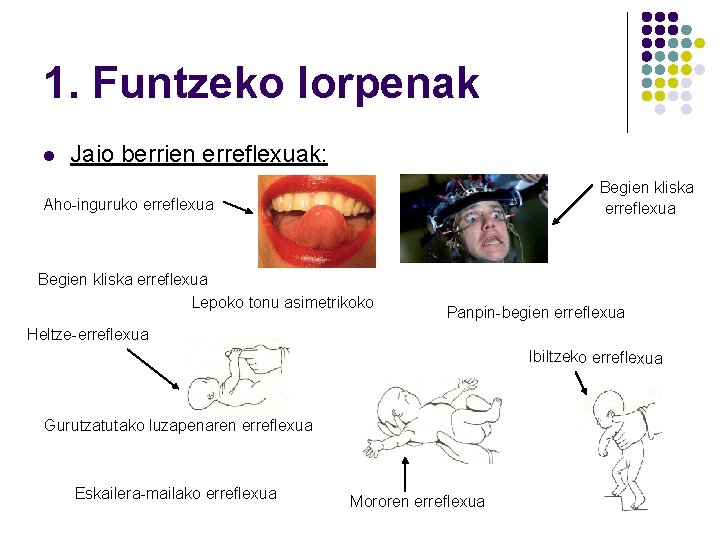 1. Funtzeko lorpenak l Jaio berrien erreflexuak: Begien kliska erreflexua Aho-inguruko erreflexua Begien kliska 1. Funtzeko lorpenak l Jaio berrien erreflexuak: Begien kliska erreflexua Aho-inguruko erreflexua Begien kliska