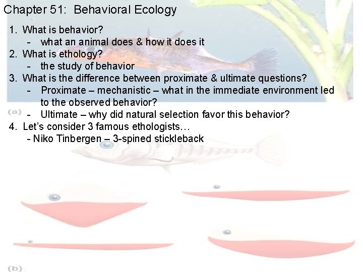 Chapter 51: Behavioral Ecology 1. What is behavior? - what an animal does &