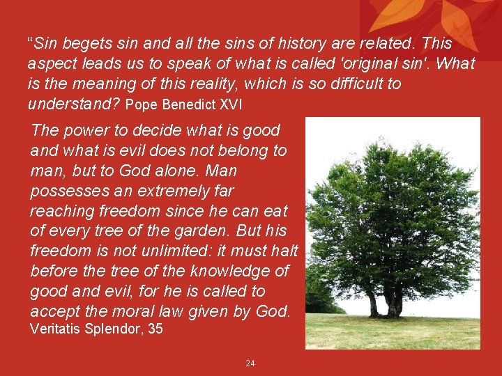 “Sin begets sin and all the sins of history are related. This aspect leads