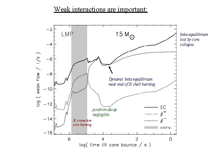 Weak interactions are important: beta-equilibrium lost by core collapse Dynamic beta equilibrium near end