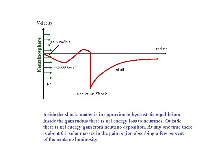 Neutrinosphere Velocity gain radius Infall Accretion Shock Inside the shock, matter is in approximate