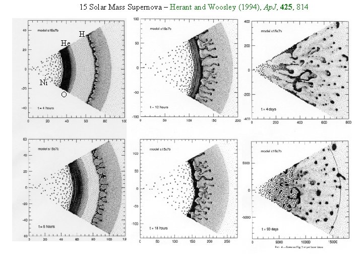 15 Solar Mass Supernova – Herant and Woosley (1994), Ap. J, 425, 814 H