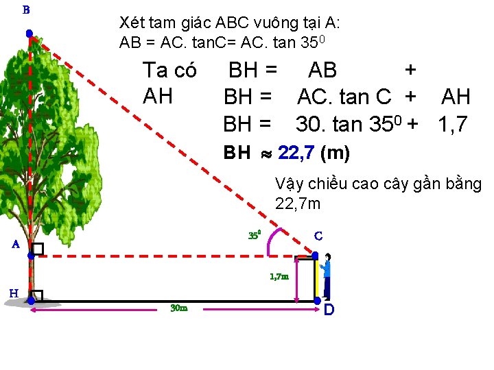 B Xét tam giác ABC vuông tại A: AB = AC. tan. C= AC.