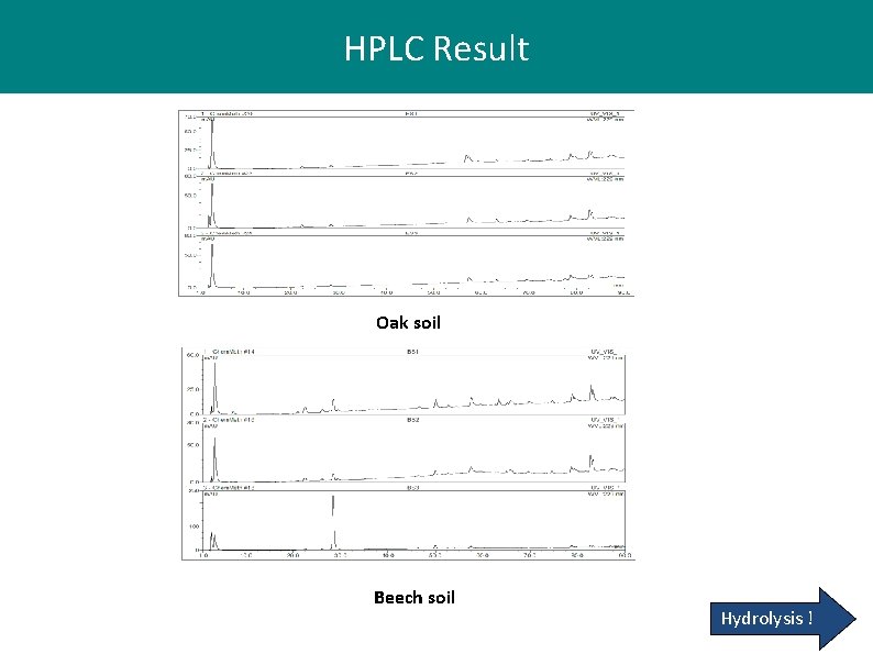 HPLC Result Oak soil Beech soil Hydrolysis ! HPLC Result Oak soil Beech soil Hydrolysis !