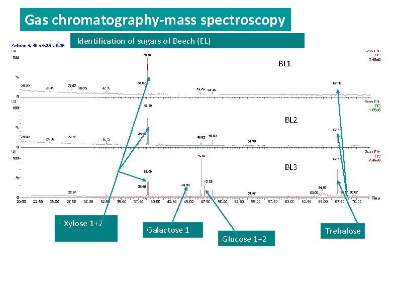 Gas chromatography-mass spectroscopy Identification of sugars of Beech (EL) BL 1 BL 2 BL Gas chromatography-mass spectroscopy Identification of sugars of Beech (EL) BL 1 BL 2 BL