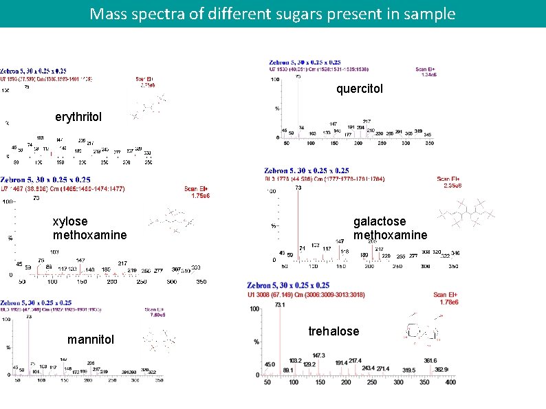 Mass spectra of different sugars present in sample quercitol erythritol xylose methoxamine mannitol galactose Mass spectra of different sugars present in sample quercitol erythritol xylose methoxamine mannitol galactose