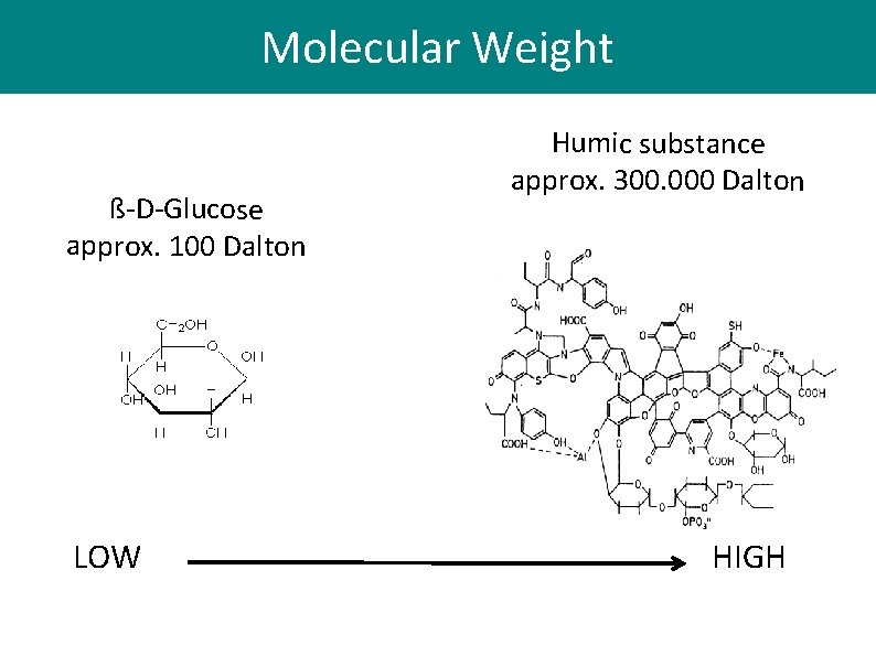 Low Molecular Weight Compounds SE Chemical Methods WS
