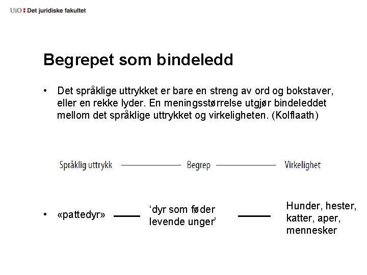 Begrepet som bindeledd • Det språklige uttrykket er bare en streng av ord og