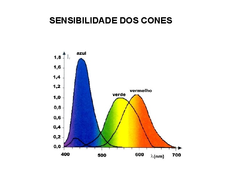 SENSIBILIDADE DOS CONES 