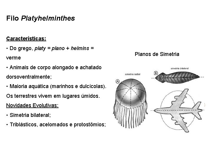 Filo Platyhelminthes Características: • Do grego, platy = plano + helmins = verme •