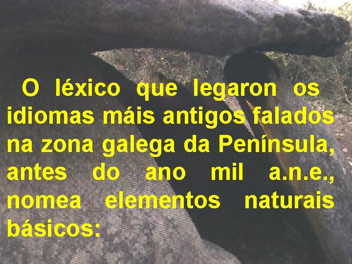 O léxico que legaron os idiomas máis antigos falados na zona galega da Península,