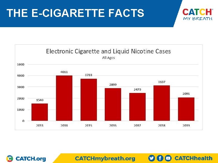 THE E-CIGARETTE FACTS 