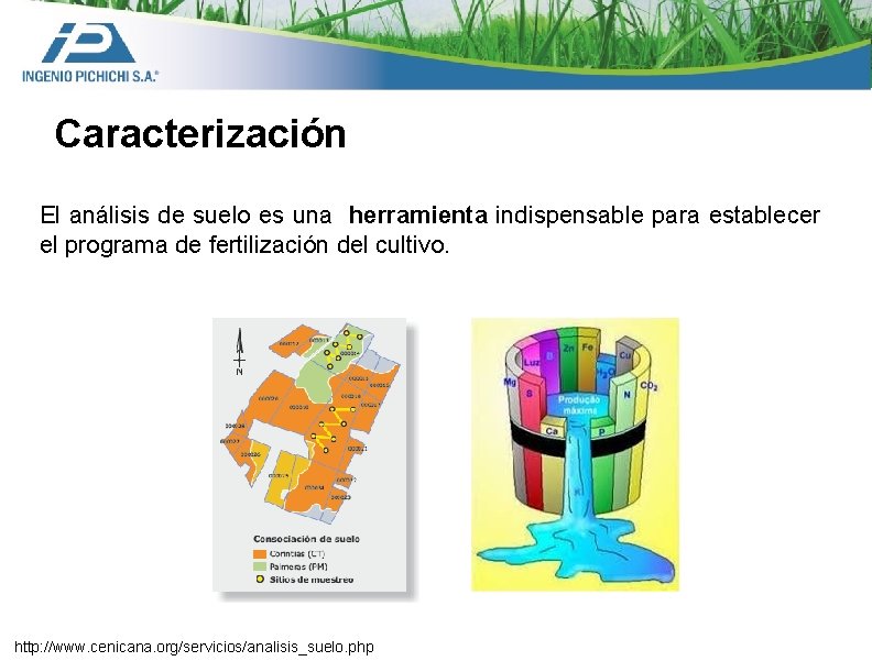 Caracterización El análisis de suelo es una herramienta indispensable para establecer el programa de