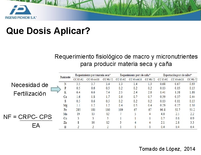 Que Dosis Aplicar? Requerimiento fisiológico de macro y micronutrientes para producir materia seca y