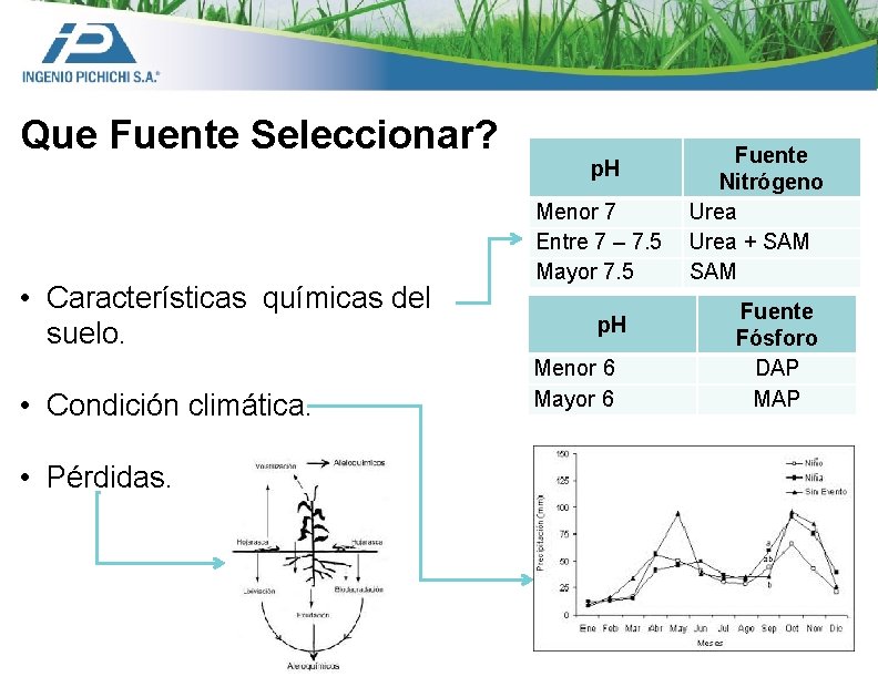 Que Fuente Seleccionar? • Características químicas del suelo. • Condición climática. • Pérdidas. p.