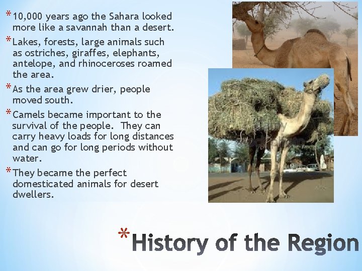 * 10, 000 years ago the Sahara looked more like a savannah than a