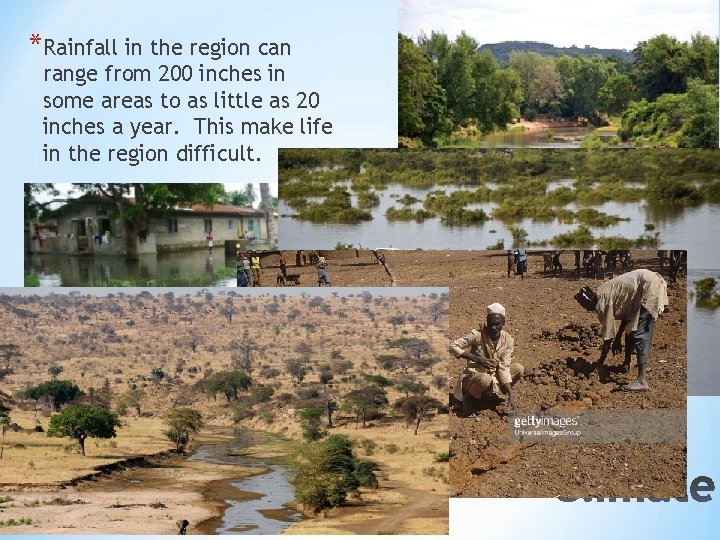 *Rainfall in the region can range from 200 inches in some areas to as